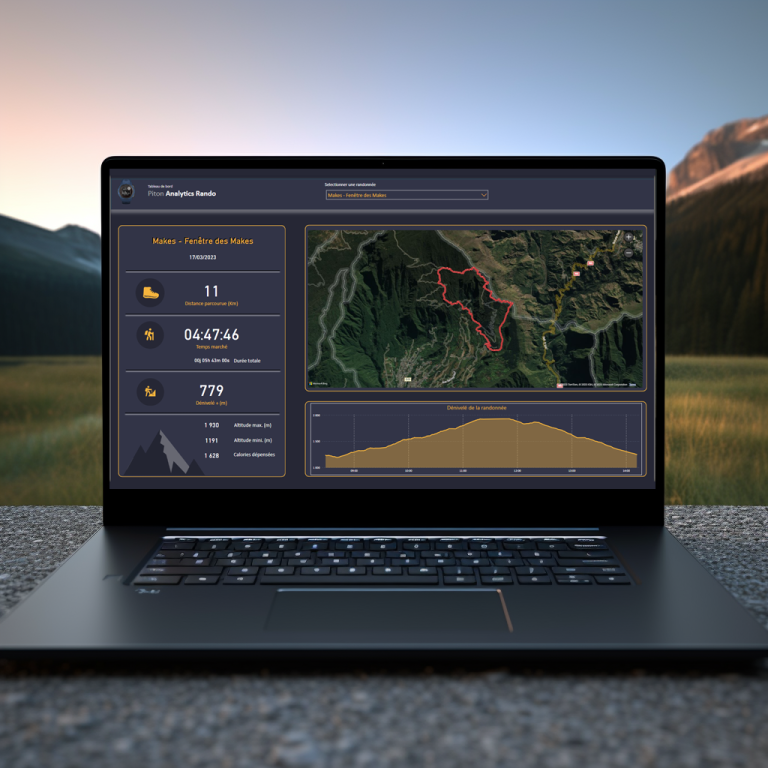 power-bi-garmin-2